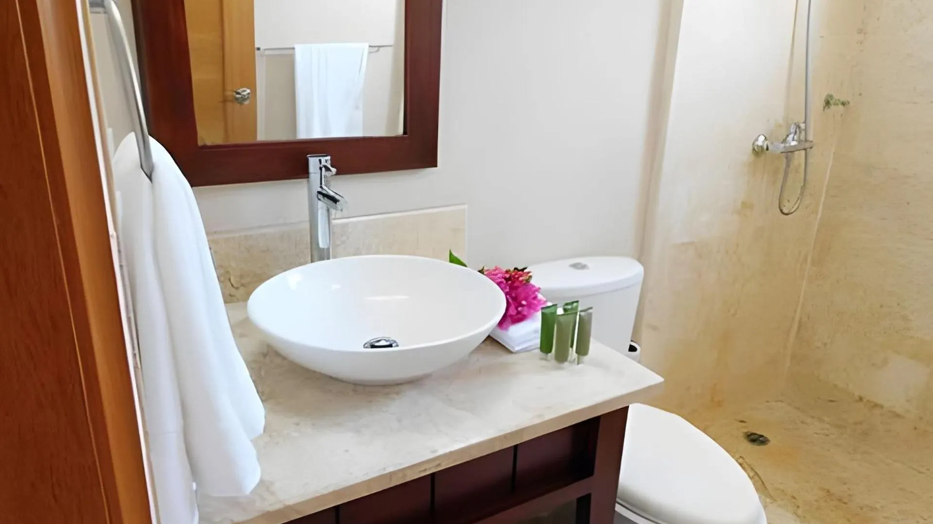 Διαμέρισμα Spectacular Penthouse Ocean Views. Playa Bavaro. Πούντα Κάνα
